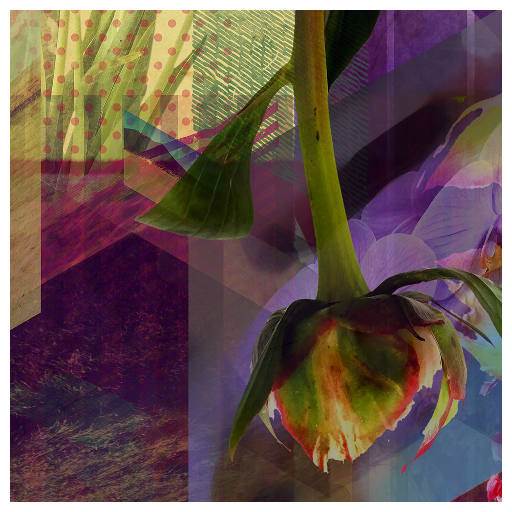 Future Rope Core Memory 220310 1550 by Alex Russell (detail 1)