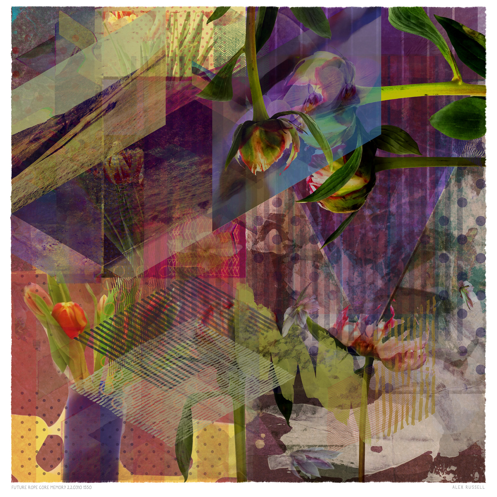 Future Rope Core Memory 220310 1550 by Alex Russell (print close-up)