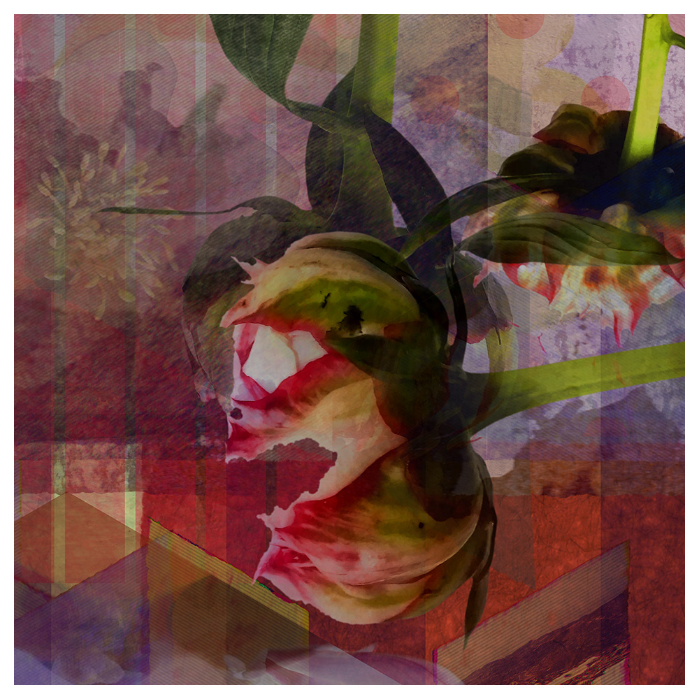 Future Rope Core Memory 220310 1758 by Alex Russell (detail 1)