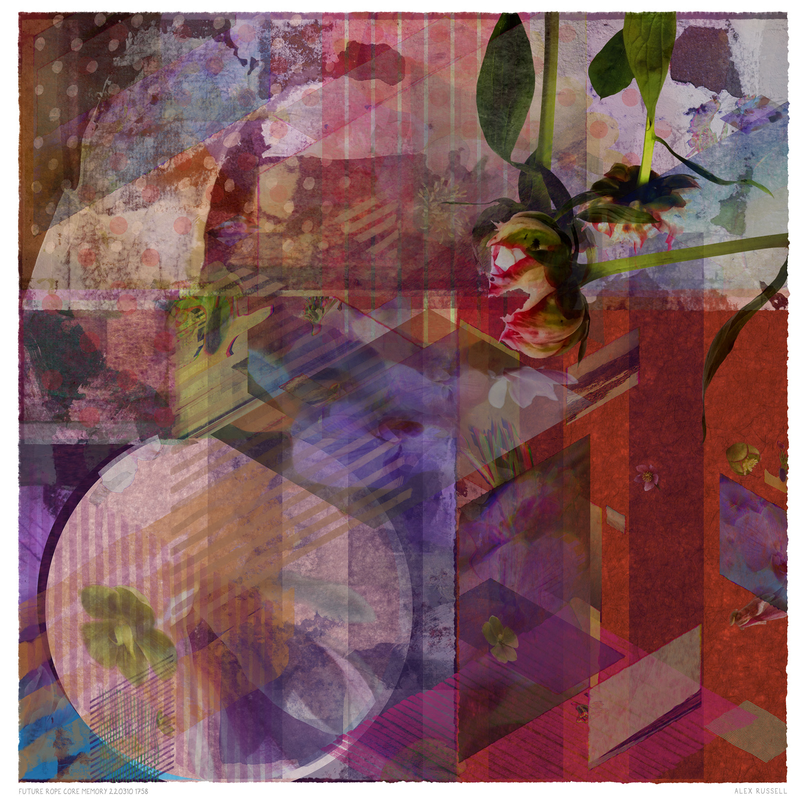 Future Rope Core Memory 220310 1758 by Alex Russell (print close-up)