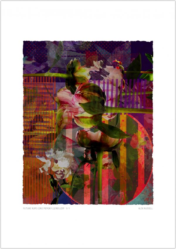 Future Rope Core Memory 221110 2017 by Alex Russell