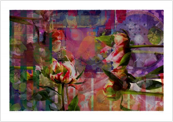 Future Rope Core Memory 240422 1053 by Alex Russell