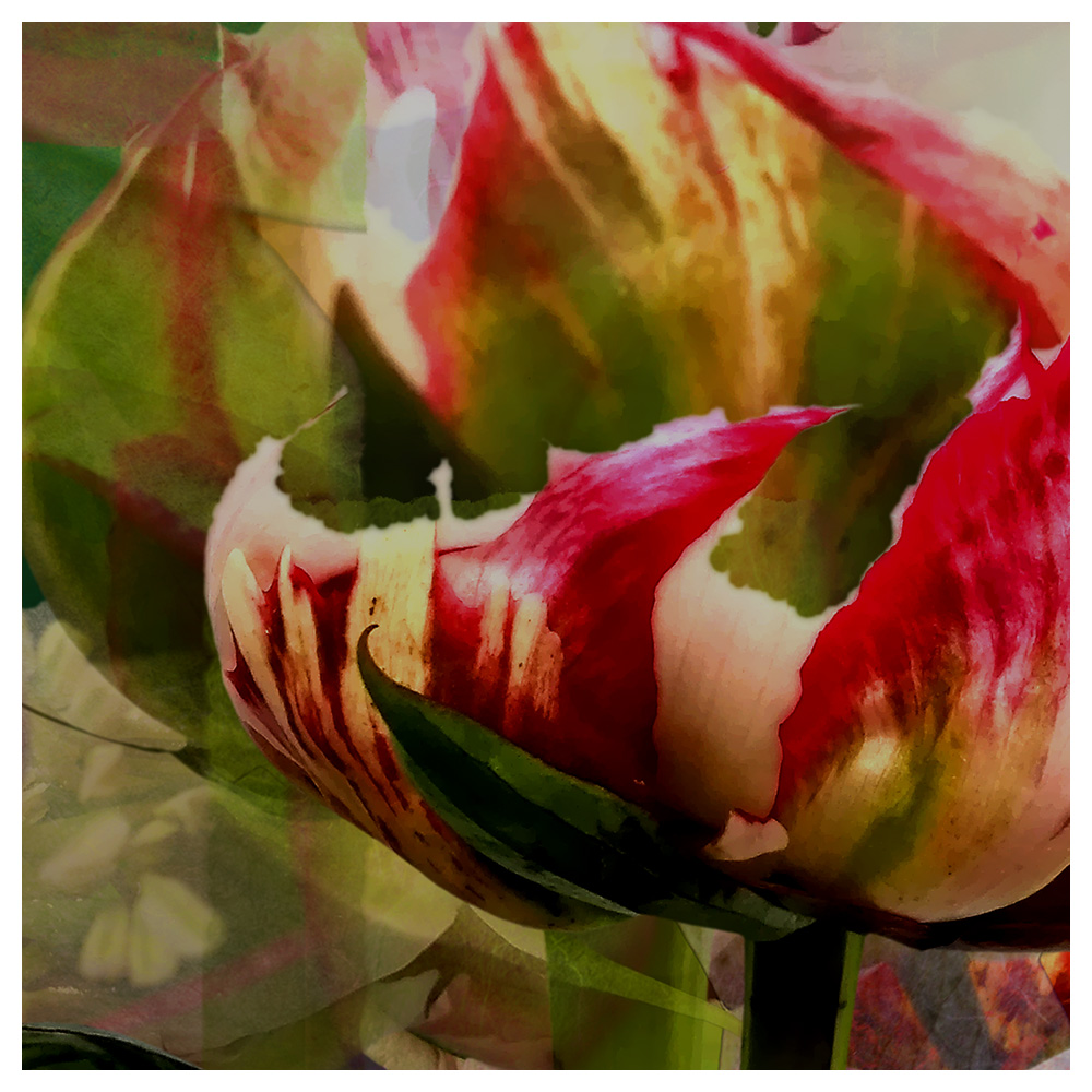 Future Rope Core Memory 240422 1053 by Alex Russell (detail 1)