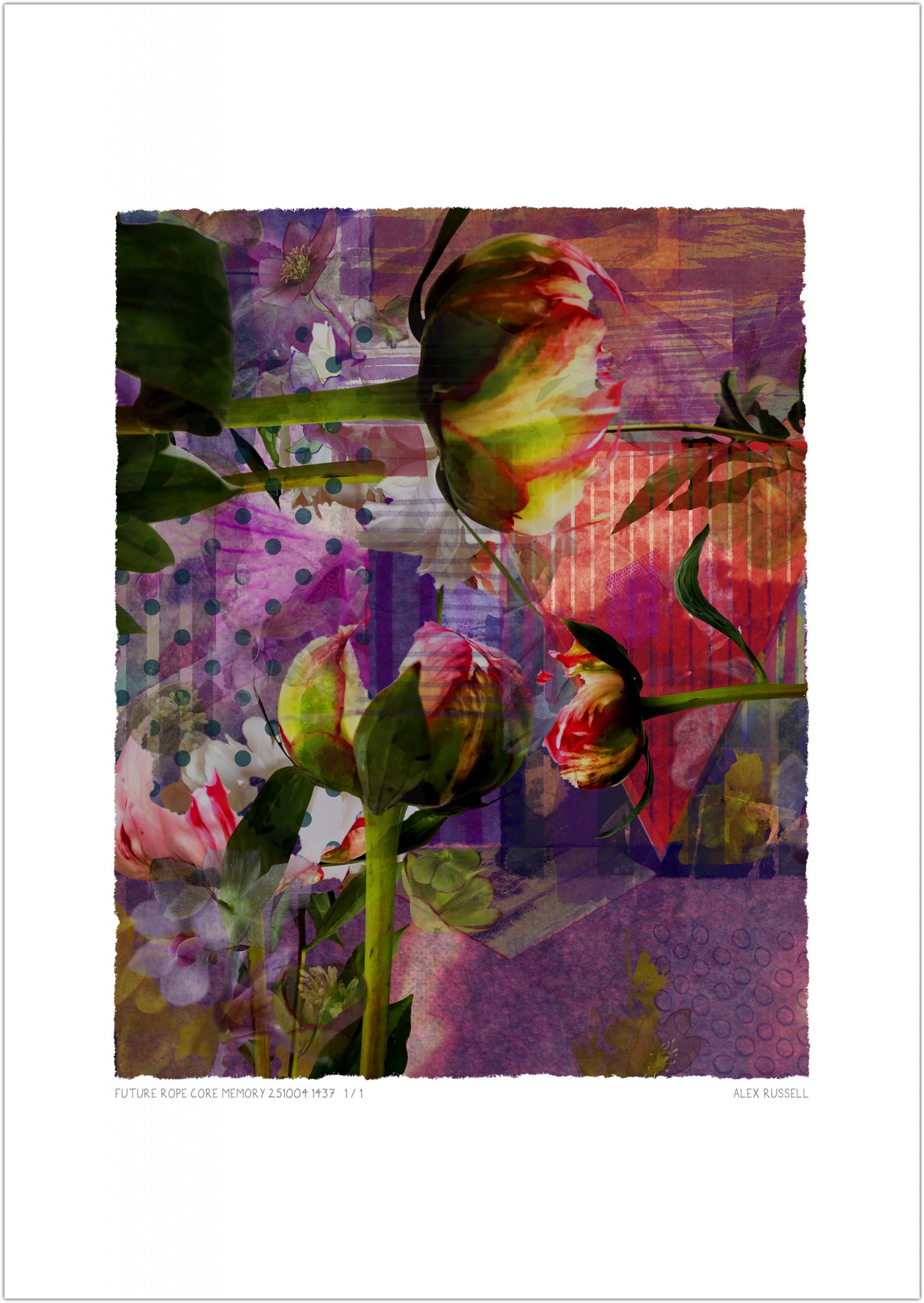 Future Rope Core Memory 251004 1437 by Alex Russell