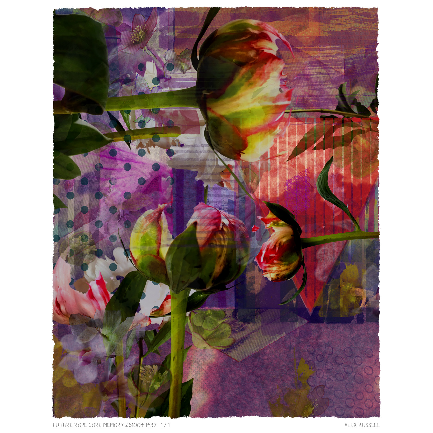 Future Rope Core Memory 251004 1437 by Alex Russell (print close-up)