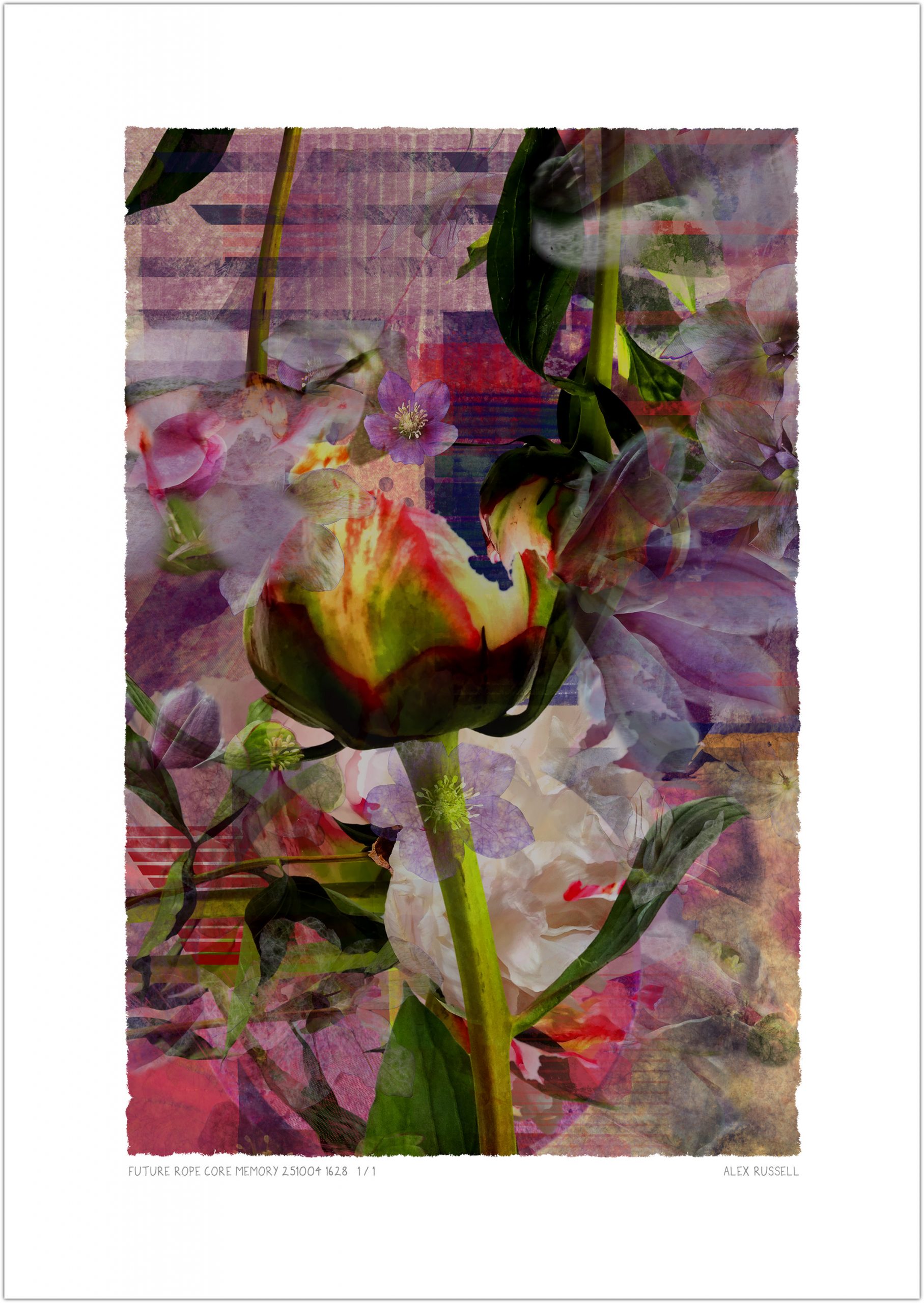 Future Rope Core Memory 251004 1628 by Alex Russell