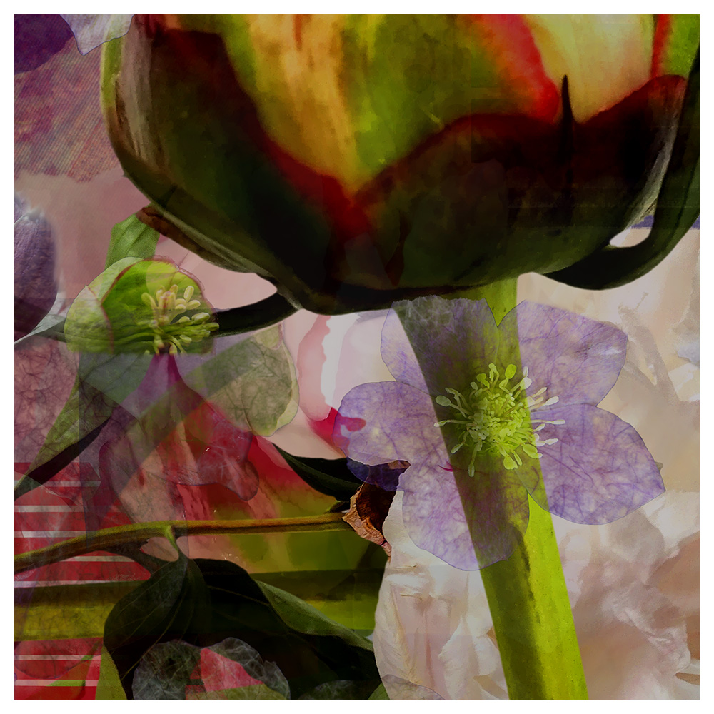 Future Rope Core Memory 251004 1628 by Alex Russell (detail 2)