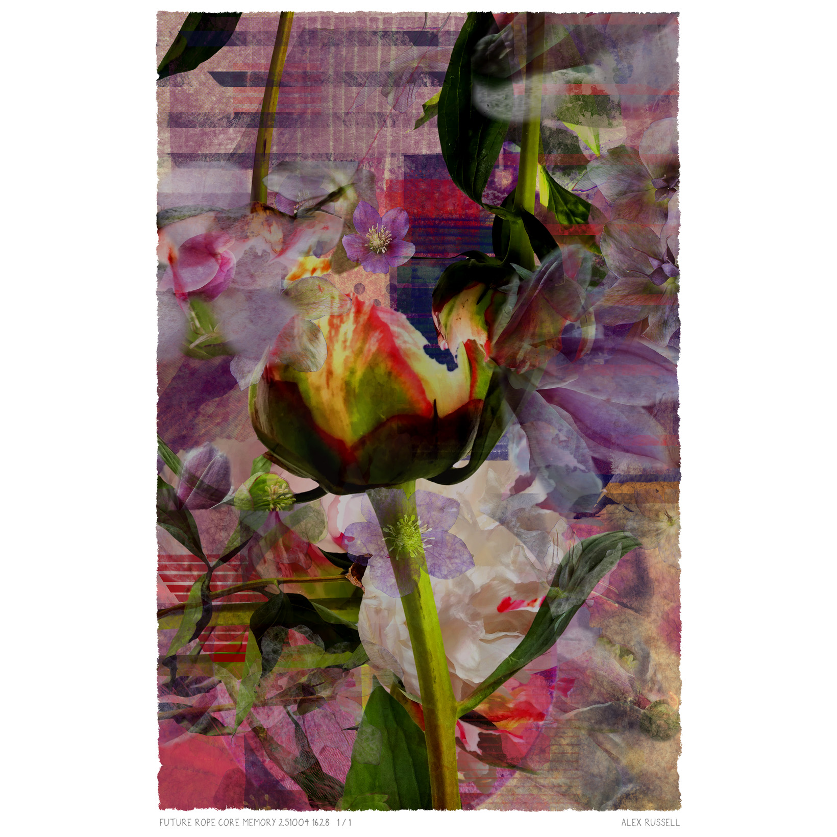 Future Rope Core Memory 251004 1628 by Alex Russell (print close-up)